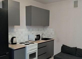 Сдам в аренду 1-ком. квартиру, 27 м2, Ростов-на-Дону, улица Теряева, 8, ЖК Платовский