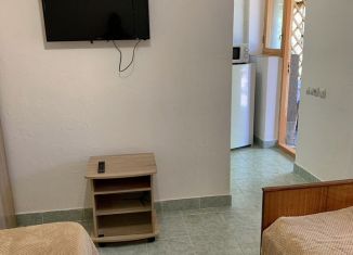 Аренда комнаты, 20 м2, поселок городского типа Заозерное, Молодёжная улица, 46