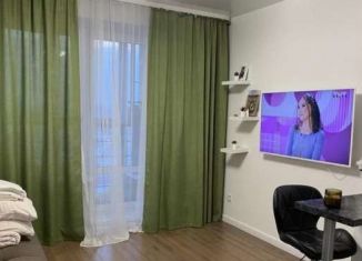 Сдается квартира студия, 24 м2, Тюмень, улица Тимофея Чаркова, 28, ЖК Новый Мыс 3.0