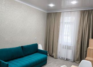 Сдам в аренду однокомнатную квартиру, 30 м2, Майкоп, Пролетарская улица, 413