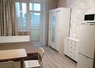 Сдам квартиру студию, 20 м2, Благовещенск, улица Ломоносова, 167