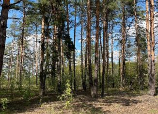 Продается участок, 20 сот., деревня Старые Омутищи, Железнодорожная улица