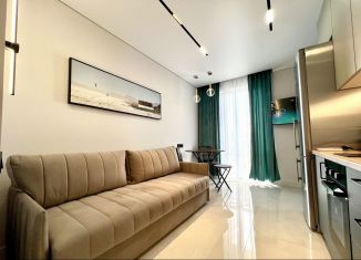 Продажа однокомнатной квартиры, 27.4 м2, Сочи, улица Искры, 88к1, ЖК Летний