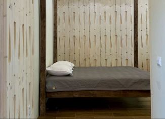 Дом в аренду, 30 м2, село Ягул, улица Графа Шувалова, 9