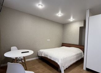 Сдача в аренду квартиры студии, 30 м2, Псков, Инженерная улица, 125, ЖК Смарт-квартал