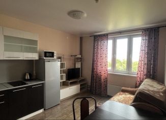 Продам квартиру студию, 20 м2, Нижний Новгород, метро Горьковская, улица Героя Жидкова, 6