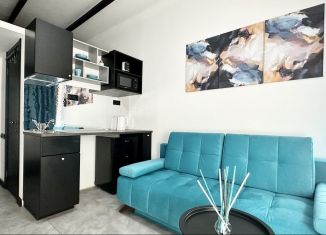 Сдаю квартиру студию, 20 м2, Санкт-Петербург, Херсонская улица, 3, муниципальный округ Смольнинское