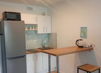 Сдача в аренду 1-комнатной квартиры, 35.6 м2, Щербинка, улица Мостотреста, 10к2