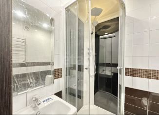 Продажа квартиры студии, 26.9 м2, Мурино, Екатерининская улица, 30, ЖК Авиатор