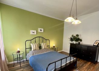 Сдача в аренду 1-ком. квартиры, 44.4 м2, Санкт-Петербург, Дерптский переулок, 15, Адмиралтейский район