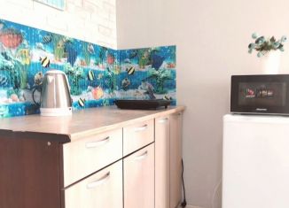 Аренда дома, 24 м2, село Мысхако, Садовая улица, 18А