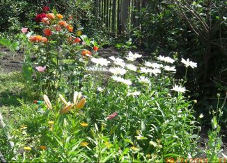 Земельный участок на продажу, 15 сот., село Надеждино, Новая улица