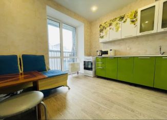 Продам 1-ком. квартиру, 33.6 м2, село Новое Шигалеево, улица Габдуллы Тукая, 1