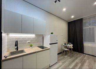 Продам квартиру студию, 20 м2, Татарстан, улица Побежимова, 47