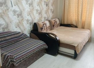 Сдается 1-ком. квартира, 44 м2, Геленджик, улица Олега Анофриева, 1к1, ЖК Алые Паруса