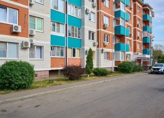 Сдача в аренду однокомнатной квартиры, 30.1 м2, посёлок Берёзовый, улица имени А.Н. Лодыгина, ЖК Прогресс