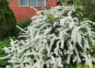 Продам дачу, 16.5 м2, Верхняя Пышма