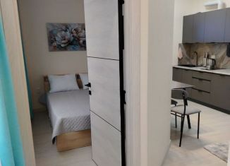 Сдам в аренду 1-ком. квартиру, 35 м2, Сочи, Кутаисская улица, 1, микрорайон Верхнеимеретинская Бухта