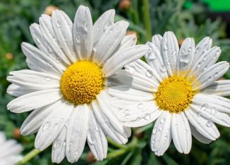 Продаю гараж, 19 м2, Симферополь