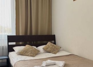 Сдается в аренду квартира студия, 25 м2, Курчатов, улица Ефима Славского, 7