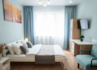 Квартира в аренду студия, 34 м2, Тульская область, 2-й Восточный проезд, 4