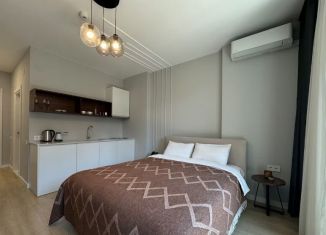 Продается квартира студия, 27 м2, Сочи, Орбитовская улица, 20/7Б, микрорайон Энергетик-Изумруд