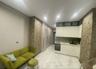 Продажа квартиры студии, 30 м2, Ростов-на-Дону, Красноармейская улица, 157В/83с1, ЖК Рубин