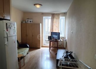 Продаю квартиру студию, 25.9 м2, Санкт-Петербург, улица Латышских Стрелков, 1, метро Ладожская
