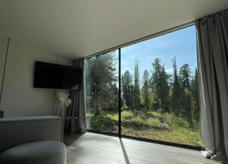 Сдается дом, 28 м2, село Артыбаш, Телецкая улица, 100