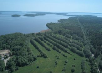 Продам участок, 650 сот., деревня Ууксу, Питкярантская улица