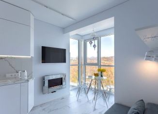 1-ком. квартира на продажу, 21.4 м2, Сочи, Ясногорская улица, 16/8к1, микрорайон Бытха