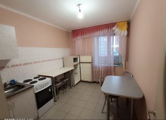 1-комнатная квартира в аренду, 34 м2, Курганская область, Сибирская улица, 22