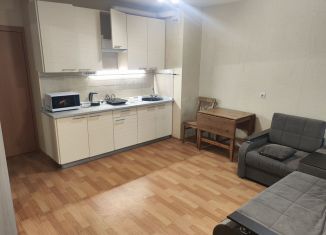Сдаю в аренду квартиру студию, 26 м2, посёлок Парголово, улица Николая Рубцова, 3