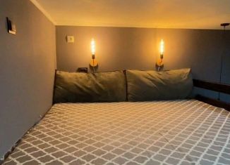 Сдается в аренду 1-ком. квартира, 30 м2, Москва, улица Генерала Кузнецова, 18к1, район Выхино-Жулебино