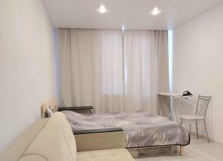 Сдается в аренду квартира студия, 28 м2, Мурино, Воронцовский бульвар, 19к1