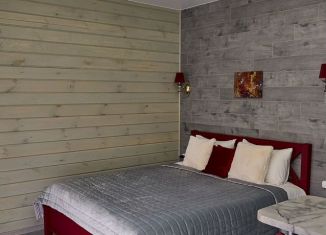 Дом в аренду, 22 м2, село Озёрное, Приозёрный проезд, 20