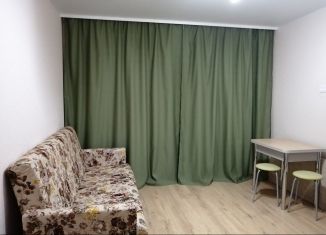 Сдам в аренду квартиру студию, 20 м2, Тюмень, улица Тимофея Чаркова, 28, ЖК Новый Мыс 3.0