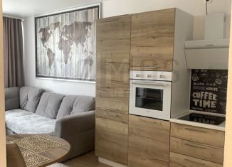 Продается однокомнатная квартира, 40 м2, посёлок Совхозный, Разливная улица, 50к4