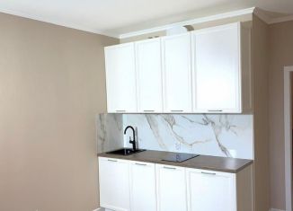 Продам квартиру студию, 24.4 м2, Кудрово, Английская улица, 1