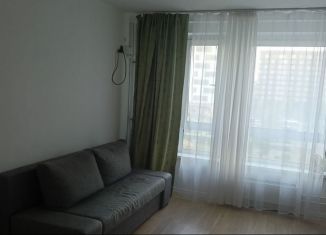 Аренда квартиры студии, 22.6 м2, Зеленоград, Георгиевский проспект, 33к6