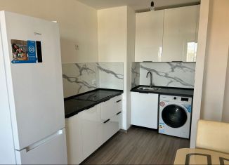 Аренда двухкомнатной квартиры, 54 м2, посёлок Парголово, Заречная улица, 46к1
