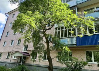 Однокомнатная квартира на продажу, 29.6 м2, Саранск, улица Александра Невского, 101А