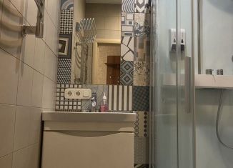 Сдача в аренду квартиры студии, 25 м2, Санкт-Петербург, улица Рубинштейна, 15-17