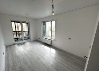 Продается квартира студия, 25 м2, Санкт-Петербург, Невский район, Дальневосточный проспект, 23