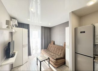 Сдается в аренду квартира студия, 22 м2, Краснодар, 5-я Дорожная улица, 68к1, ЖК Абрикос