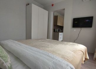 Продается 1-ком. квартира, 29.4 м2, Сочи, Виноградная улица, 224/1