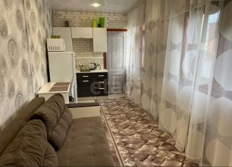 Продаю квартиру студию, 26.5 м2, Нижний Новгород, улица Пискунова, 3к1, Нижегородский район