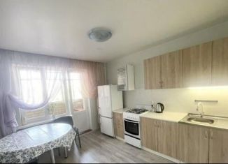 Сдается в аренду 1-ком. квартира, 36 м2, Сыктывкар, Покровский бульвар, 4
