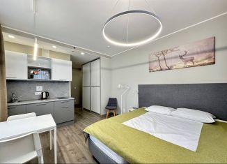 Продам квартиру студию, 26.5 м2, Санкт-Петербург, Витебский проспект, 101к1, муниципальный округ Гагаринское