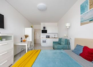 Продается квартира студия, 24.1 м2, Санкт-Петербург, проспект Ветеранов, 183, Красносельский район